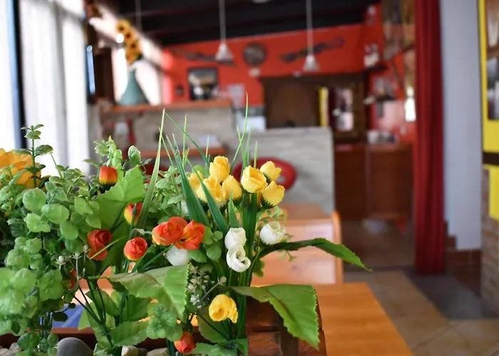 Gæstehus Mony's Island Alghero