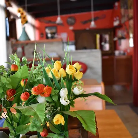 Affittacamere Mony's Island Alghero