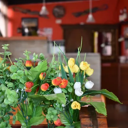 Affittacamere Mony's Island 3*