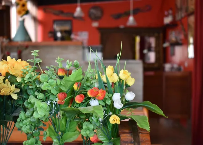 Konukevi Mony's Island 3*